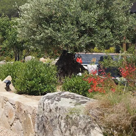 Πανσιόν Les Jardins De Santa Giulia - Charmante Dhte 2 3*