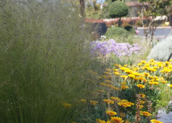 Les Jardins De Santa Giulia - Charmante Dhte 2 Porto-Vecchio (Corsica)