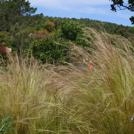 Gæstehus Les Jardins De Santa Giulia - Charmante Dhte 2 Porto-Vecchio (Corsica)