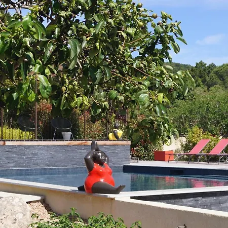 Les Jardins De Santa Giulia - Charmante Dhte 2 3* Porto-Vecchio (Corsica)