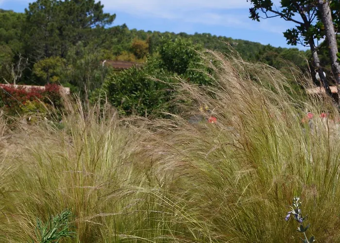Penzion Les Jardins De Santa Giulia - Charmante Dhte 2 Porto-Vecchio (Corsica)